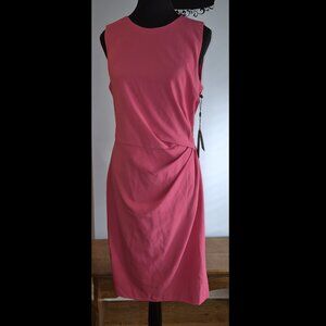 NWT Vibrant Fuchsia Adrianna Papell Dress (10)
